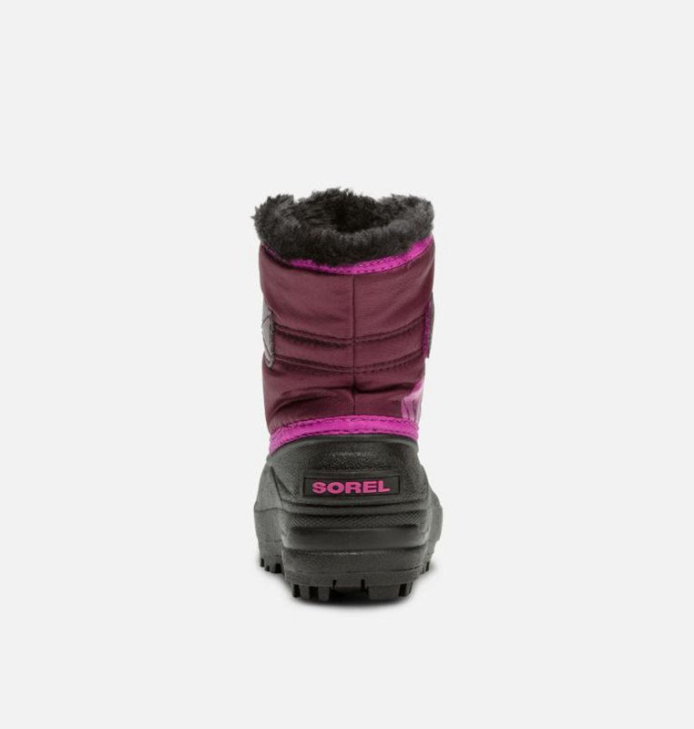 Botas Nieve Sorel Niños - Toddler Commander™ Moradas/Rosas/Negras - 71648-HUWS